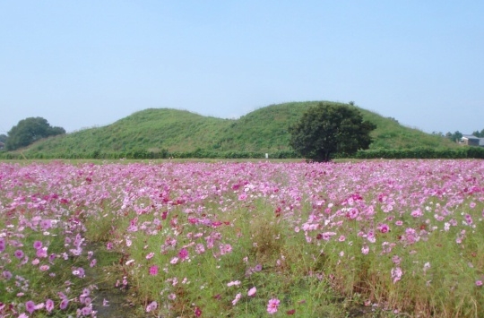 埼玉県域での人々の歴史は武蔵武士の国が確立する