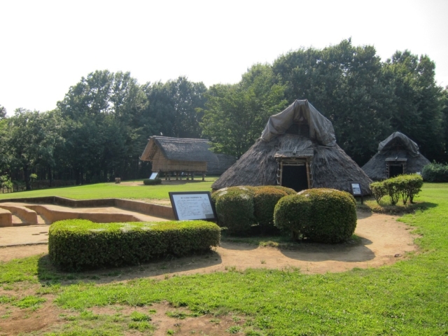 環濠集落の大塚遺跡とは?~神奈川県の歴史~