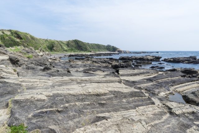 城ヶ島の地層をぐるり1周で知ろう!~大断層ほか見どころ満載~