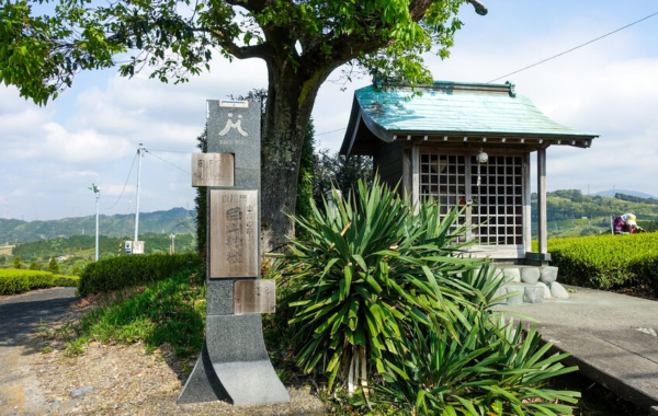 津山藩の蘭学者たちは日本の夜明けを学問で支えた - まっぷるウェブ