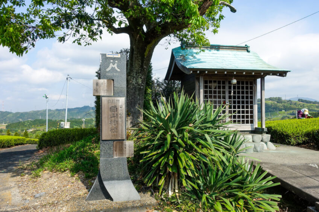 江戸幕府による東海道整備と9つの宿場町の重要度合い~神奈川県の歴史~