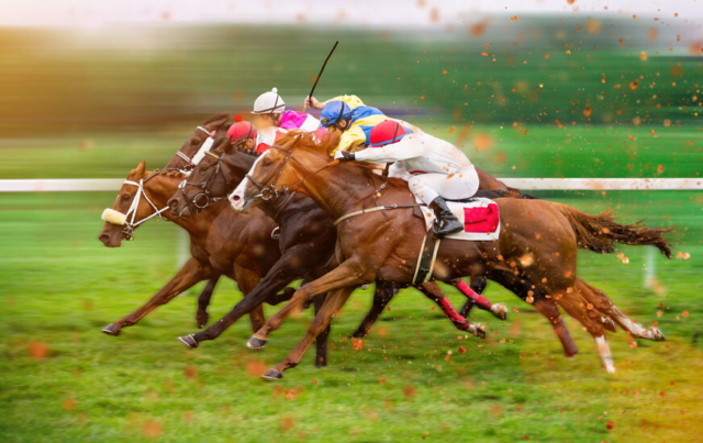 根岸競馬場はどんな競馬場だった?国内初の洋式競馬場が根岸に誕生!~神奈川の産業・文化~