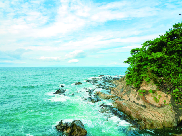 三浦氏とはどのような一族だった？かつての三浦半島盟主～神奈川県の歴史～
