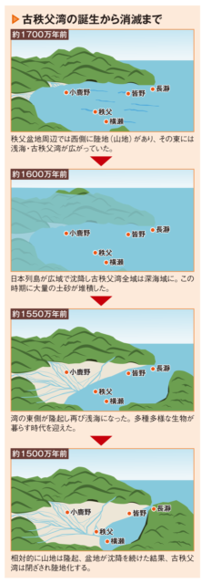 秩父盆地と古秩父湾の歴史:古秩父湾の消滅と陸地化で誕生した秩父盆地