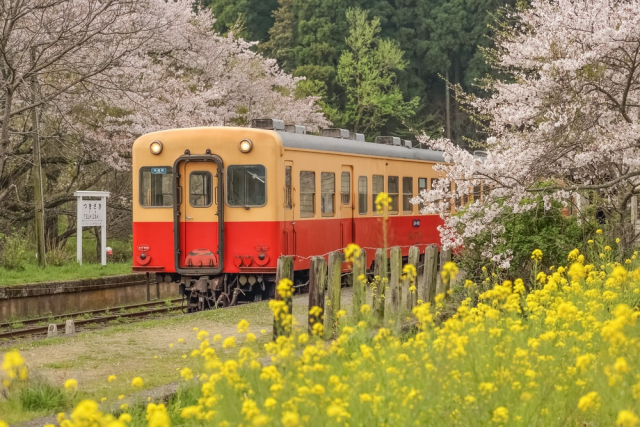 小湊鐵道は誕生寺の参詣鉄道として小湊を目指すも~開業と計画の紆余曲折~