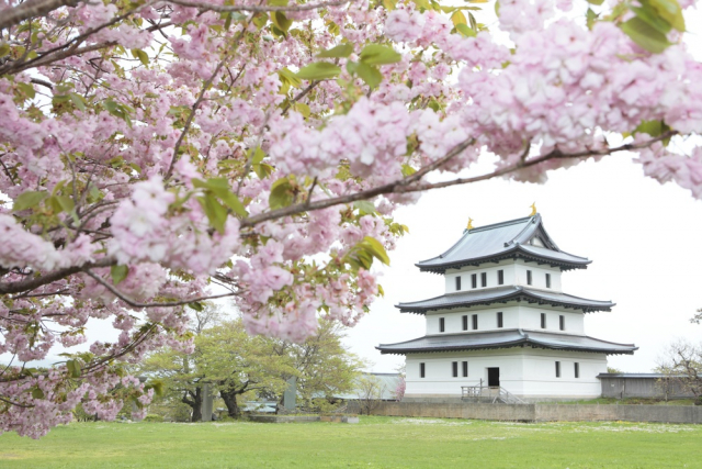 【蝦夷共和国】戊辰戦争で躍動する旧幕府軍