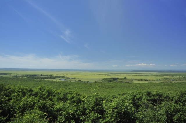 釧路湿原が3000年以上も陸地化しない謎を追う~国内最大の湿地の秘密~