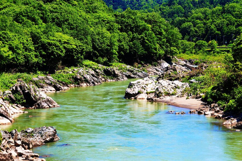 神居古潭のスカラベ 北海道 神居古潭のスカラベ（穴無し）大 産地 北海道