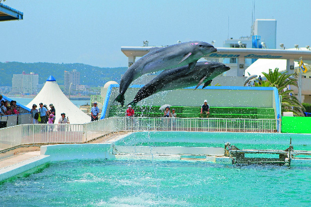 ③鴨川シーワールド