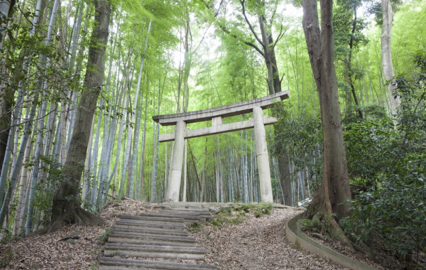 【中古】 埋立問題の焦点 志布志国家石油備蓄基地と漁業権/緑風出版/熊本一規 埋立問題の焦点 志布志国家石油備蓄基地と漁業権/緑風出版/熊本一