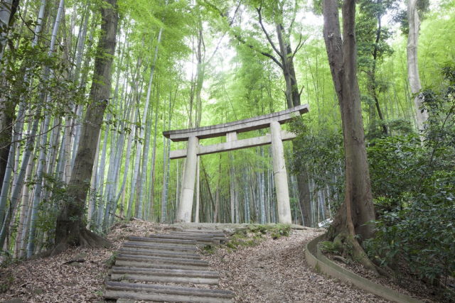 大阪と京都の境界“山崎”で羽柴秀吉と明智光秀が決戦!~山崎の戦い~