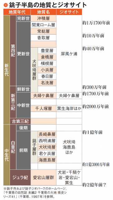 銚子の地層は恐竜時代の地層が露出する