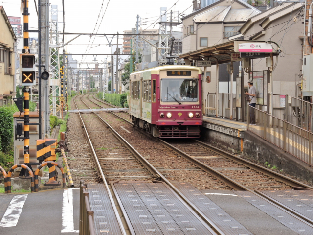 東京の路面電車の活躍~馬車鉄道から始まった東京の都市交通機関~