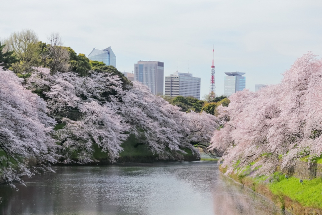 江戸の町づくりに欠かせなかった河川工事