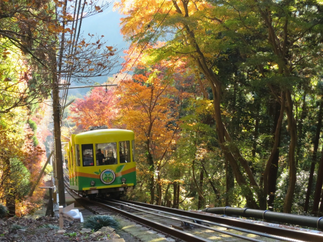 高尾山ケーブルカーの歴史~設置したのはお坊さん!?日本一の急勾配ケーブルカー~