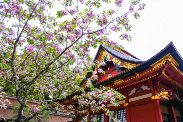 謎多き鹽竈神社(しおがまじんじゃ)
