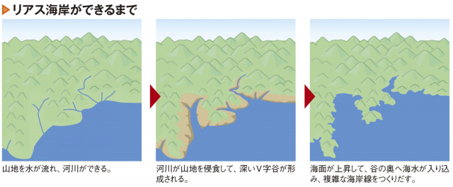 三陸海岸の地形「リアス海岸」とは