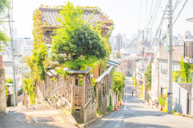 東京の坂には900以上の名前がある!起伏の多い23区内は坂だらけ?