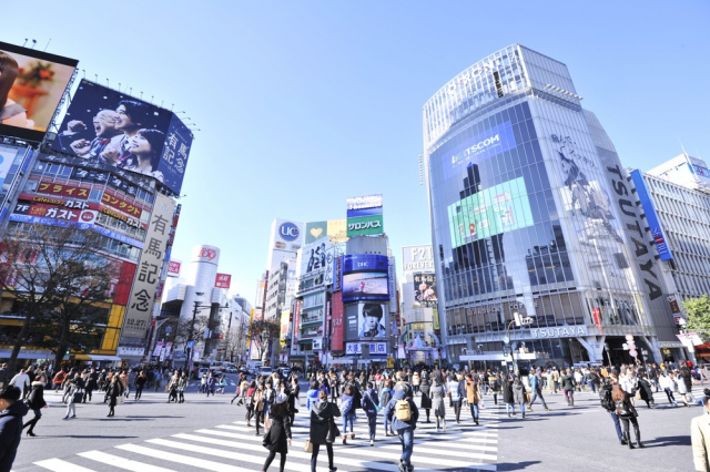渋谷の地形を解き明かす!都心には「谷底の街」があった!?渋谷は谷が密集してできた街だった