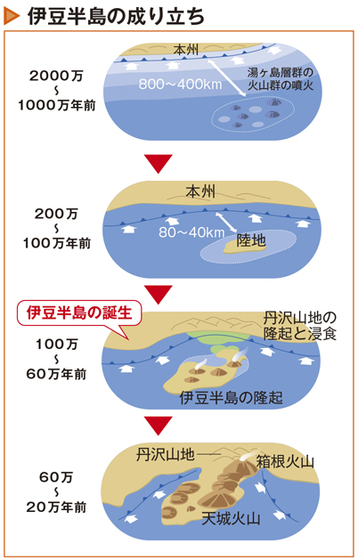 伊豆半島ジオパークのポイント②:原型の火山島と本州が衝突