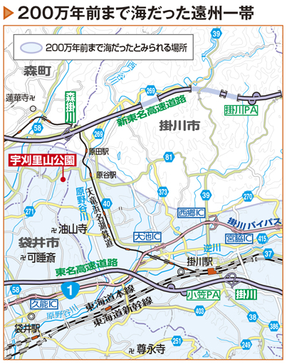 宇刈里山公園付近で化石が見つかる理由
