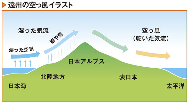「遠州の空っ風」に乗って力強く舞い上がる凧