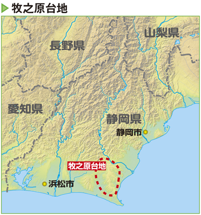 牧之原は大茶園が作られるまでは原生林だった