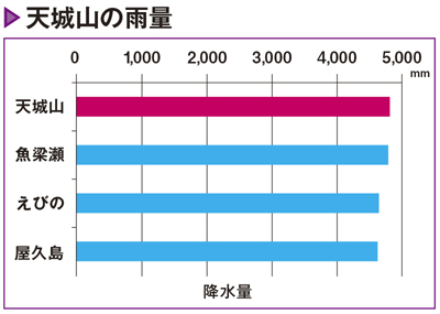伊豆の特産品「わさび」と「シイタケ」を育んだ地形と自然環境とは