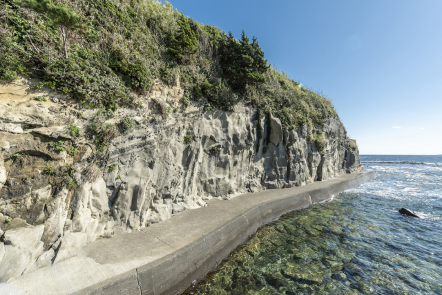 恵比須島(海底火山)