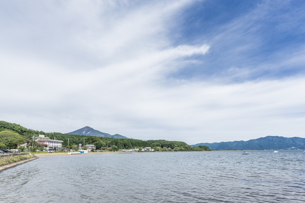 湖 Srixon ZXi4 Irons - Maple Hill Golf