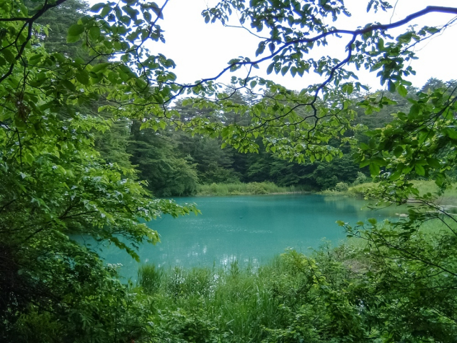 磐梯山の噴火によってできた五色沼湖沼群とは