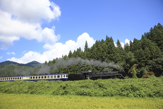 磐越西線の歴史~会津地方の大幹線!かつては東京と新潟の架け橋に~