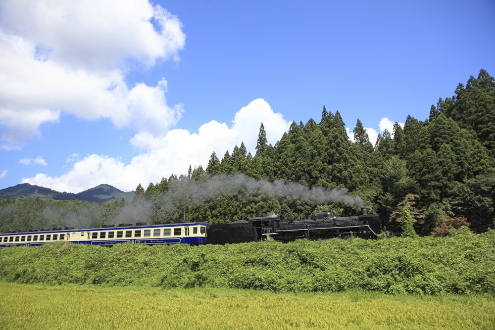 磐越西線の歴史～会津地方の大幹線！かつては東京と新潟の架け橋に