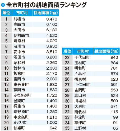 【群馬の農業】全国に名を馳せる嬬恋村のキャベツ