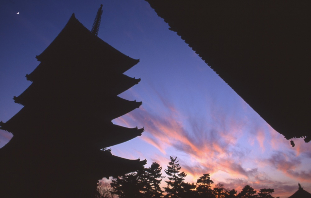 奈良墨はかつて興福寺が作っていた!現在も奈良産が全国シェア約95%!