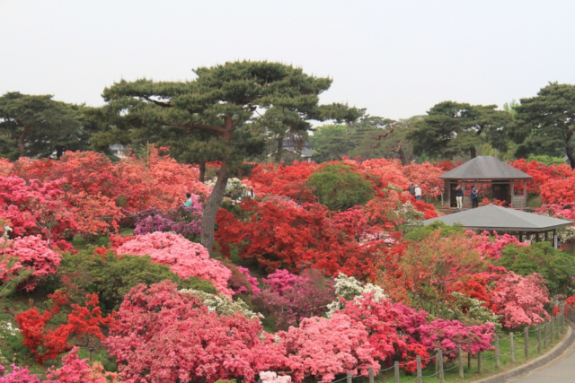 【群馬の偉人②】田山花袋(たやまかたい)