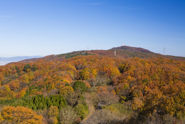 生駒山がもたらした恩恵とは?~人々の営みに密接してきた山~