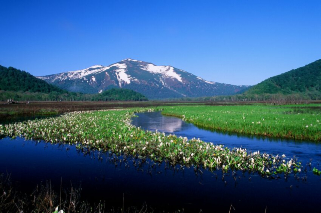 尾瀬の湿原はどのように形作られた?~貴重な動植物が生息する日本最大の山地湿原~