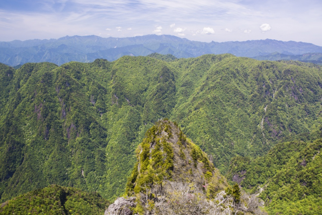 1年の半分が雨の大台ヶ原