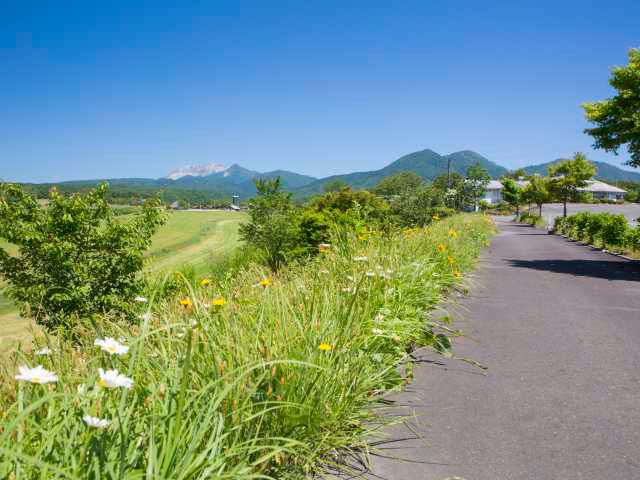 吉備高原の地層「山砂利層」から特徴と歴史を読み解く