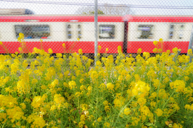 しなの鉄道は観光列車ろくもんだけじゃない! その存在感の秘密に迫る