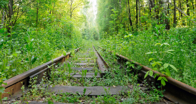 三蟠鉄道は地域を支えた幻の鉄道~時代の流れの中、駆け抜け消えていった存在~