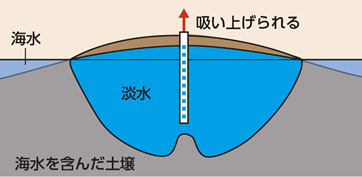 ガイベン・ヘルツベルクの法則