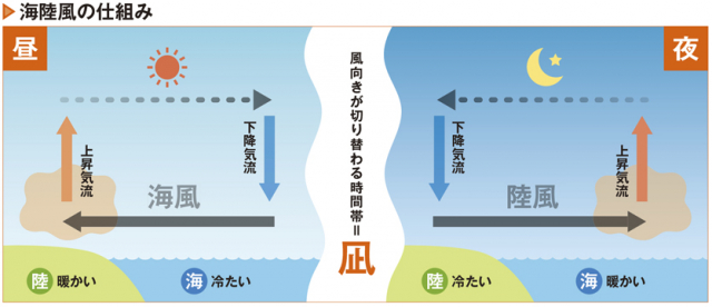 海陸風が変化する時間帯に起こる凪