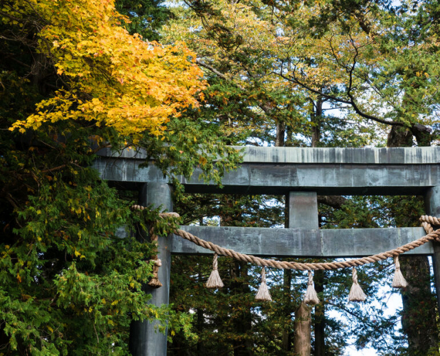諏訪大社の御柱祭とは?~七年に一度の天下の大祭~