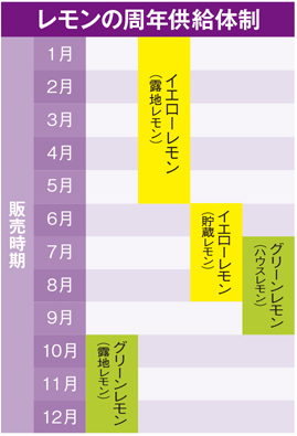 瀬戸内レモン栽培の周年供給体制