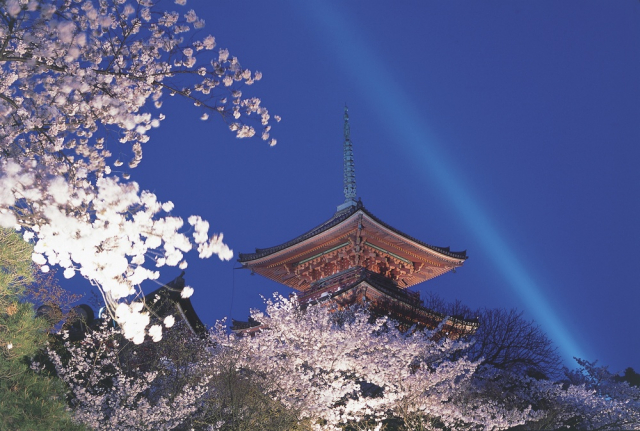 京都の怖い話とミステリー~古都に伝わる伝説とスポットを紹介~