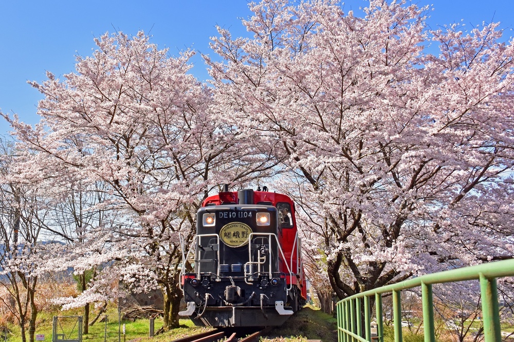 嵯峨野トロッコ列車は120年前から景観重視！？ - まっぷるウェブ