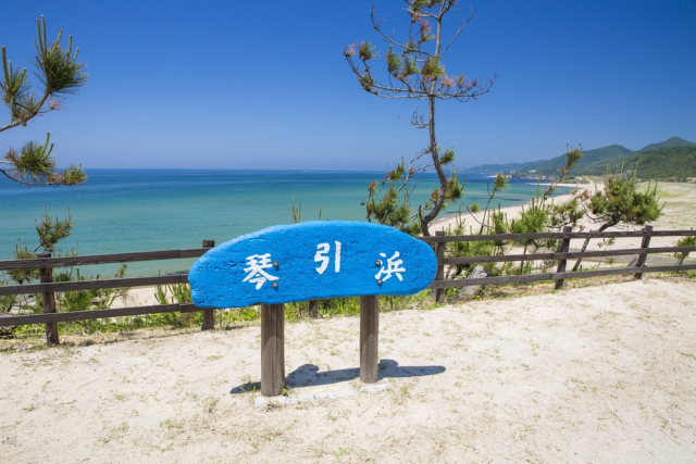 【丹後半島の地質遺産】網野町の琴引浜