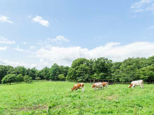 那須野が原の大開拓~不毛の原野が酪農王国に変貌~